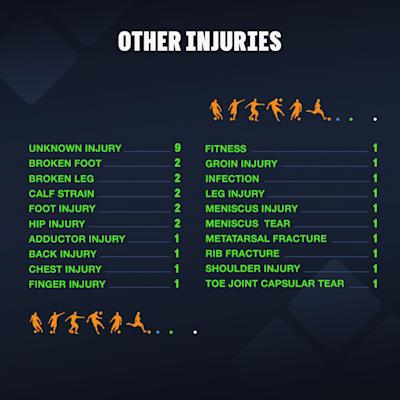 Other Injuries 2024/2025