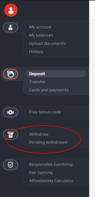 NetBet withdrawal options