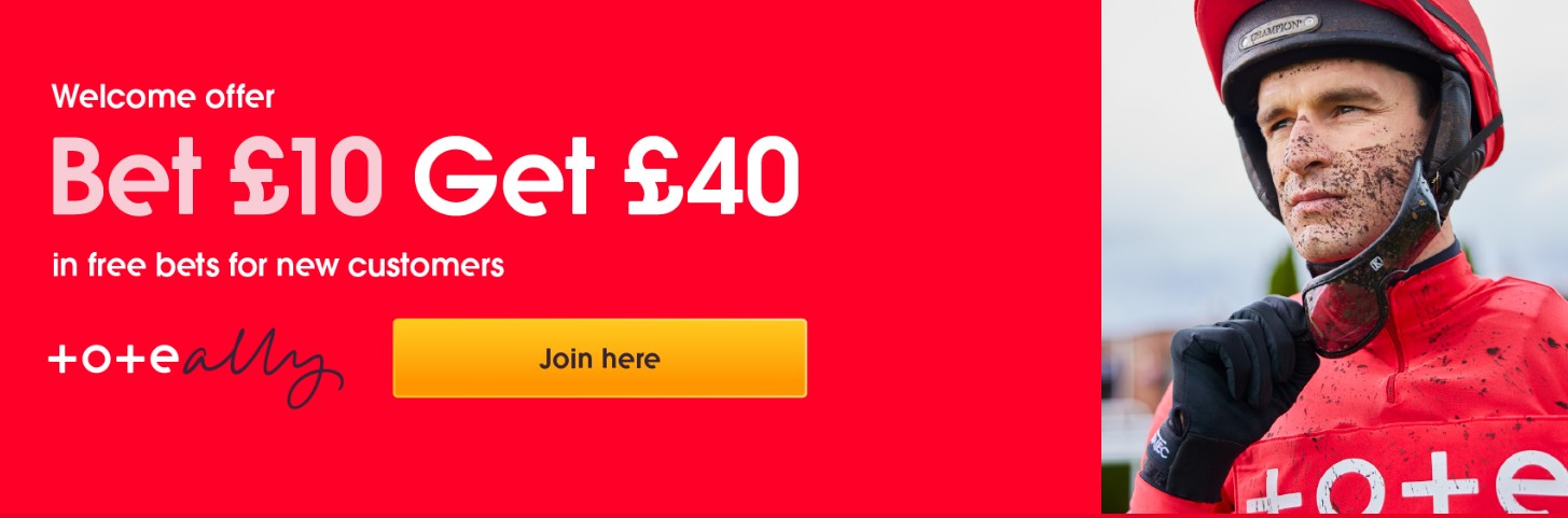 Tote Welcome Offer from March 2026