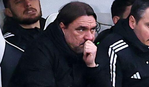 Daniel Farke wins praise as Leeds gather momentum