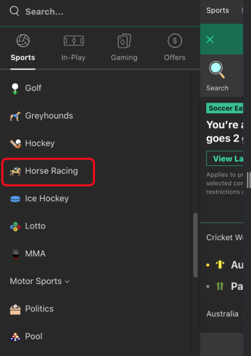 Bet365 patent - how to place - sport selection