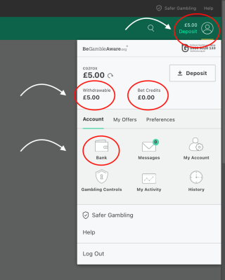 Bet365 Account Balance