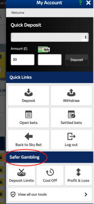 Sky Bet Safer Gambling