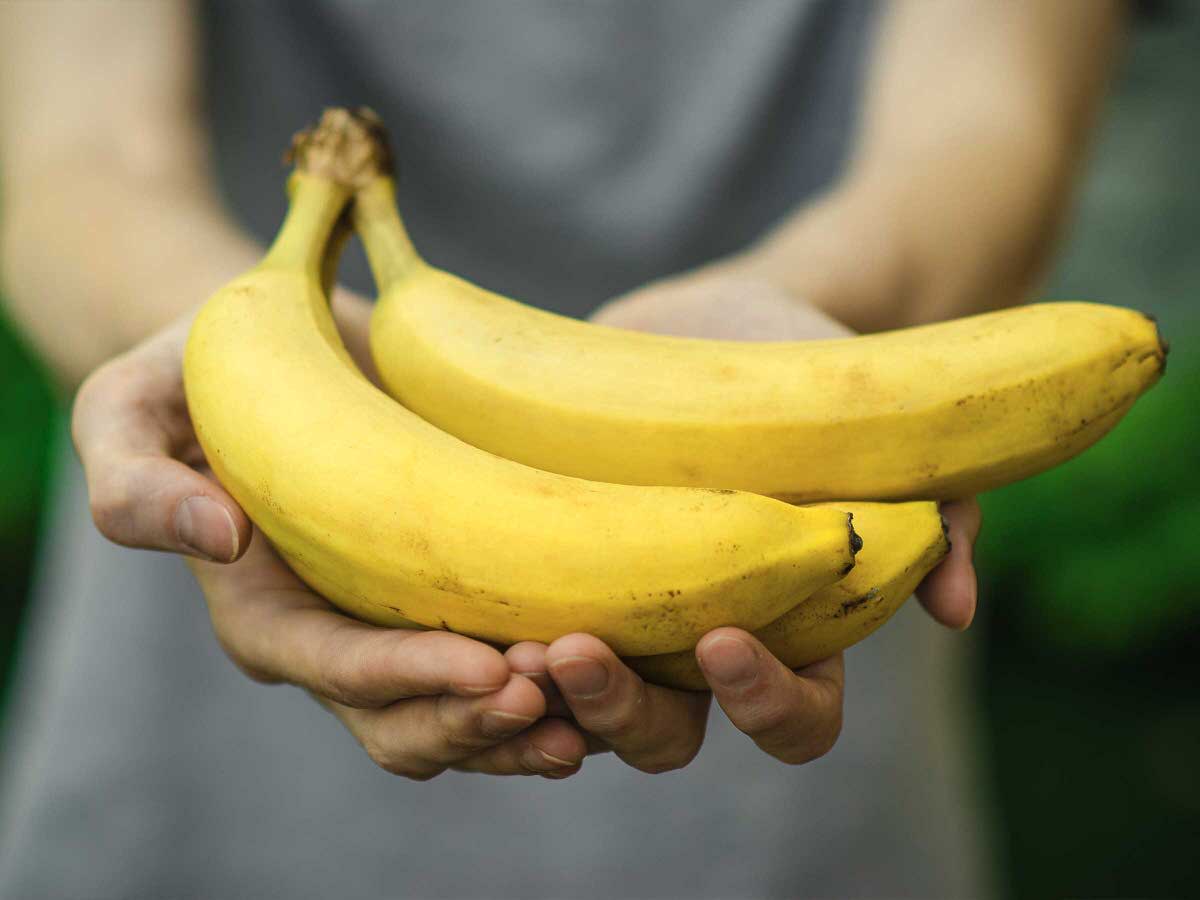 NaturaSi-Frutta-Verdura-Stagionale-Banana