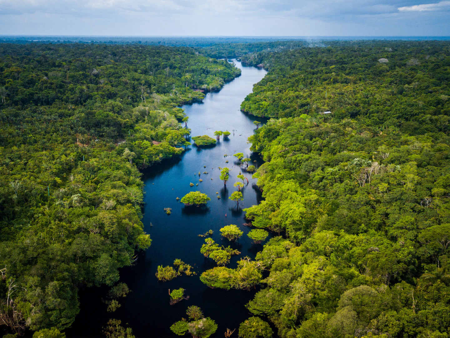 NaturaSi-Amazzonia