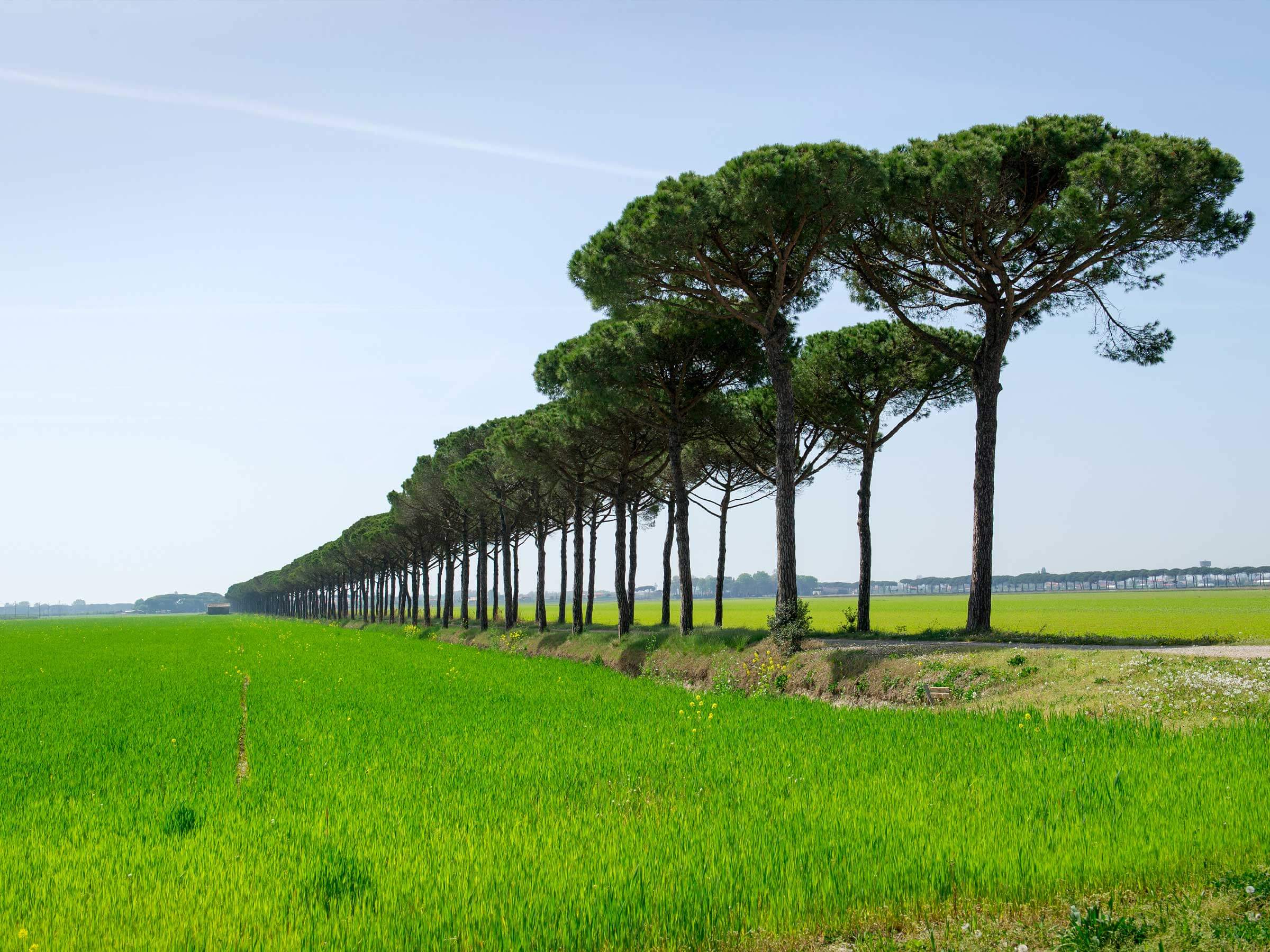 Azienda Agricola Biodinamica San Michele