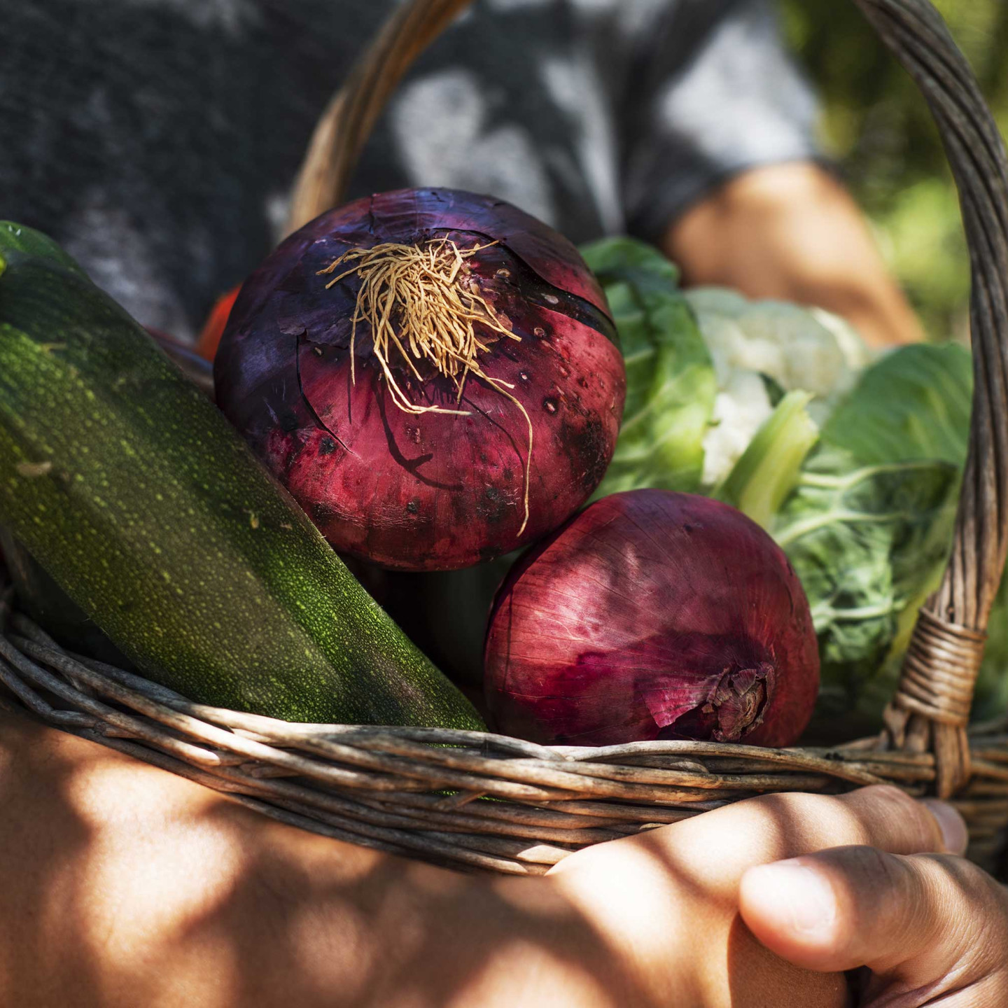 NaturaSi-Frutta-Verdura-Stagione