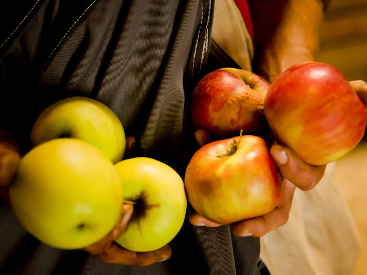 NaturaSi-Frutta-Verdura-Stagionale-Mela