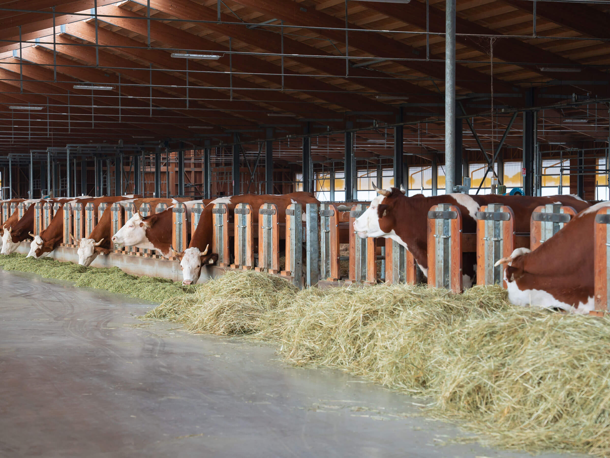 Azienda Agricola Biodinamica San Michele