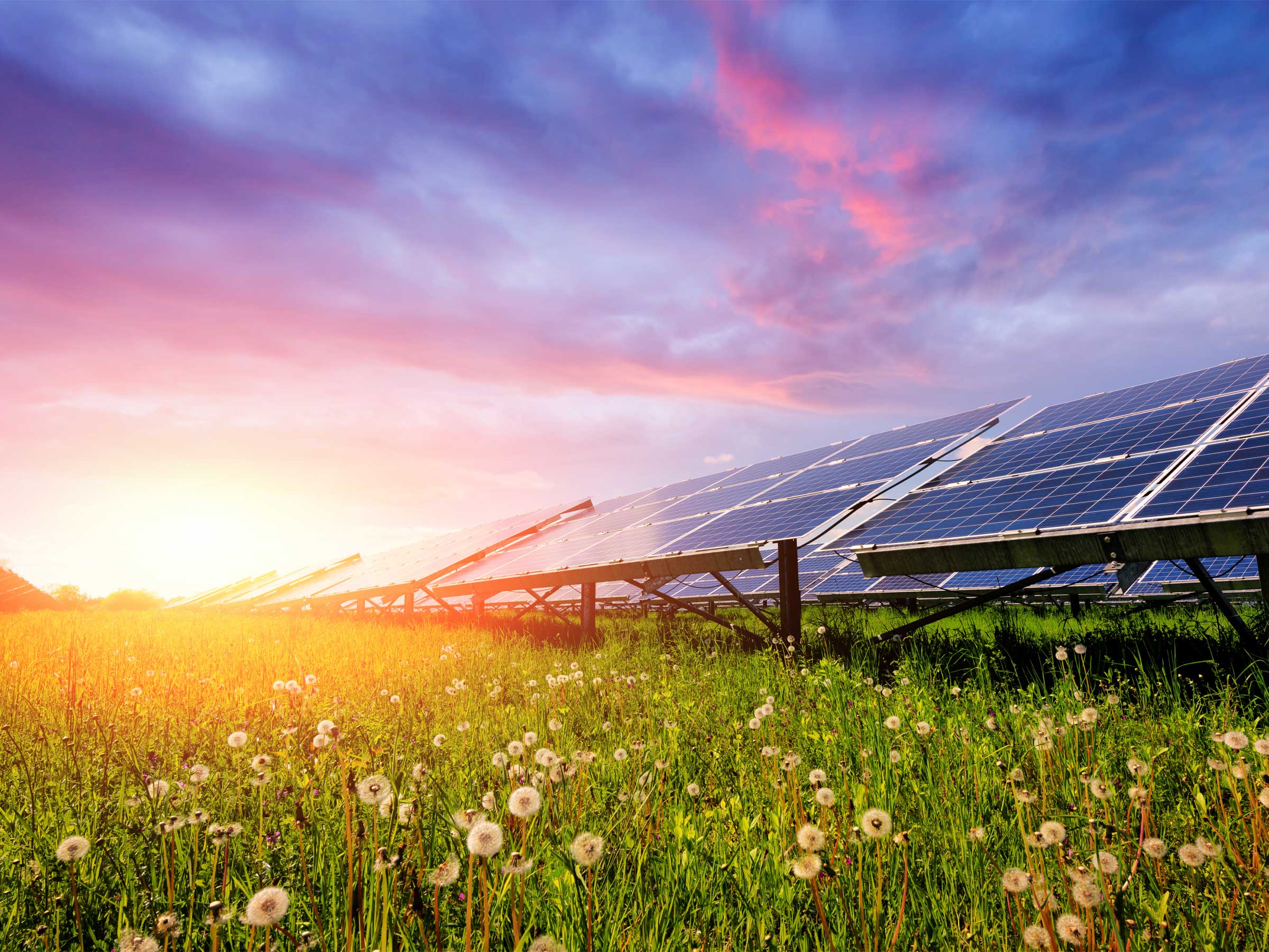 Солнечная энергия экологически чистая. Энергия солнца. Поля солнечных батарей. Солнечная Энергетика. Солнечные панели в поле.