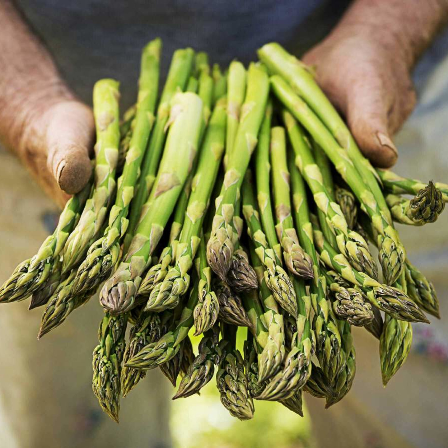 NaturaSi-Frutta-Verdura-Asparago