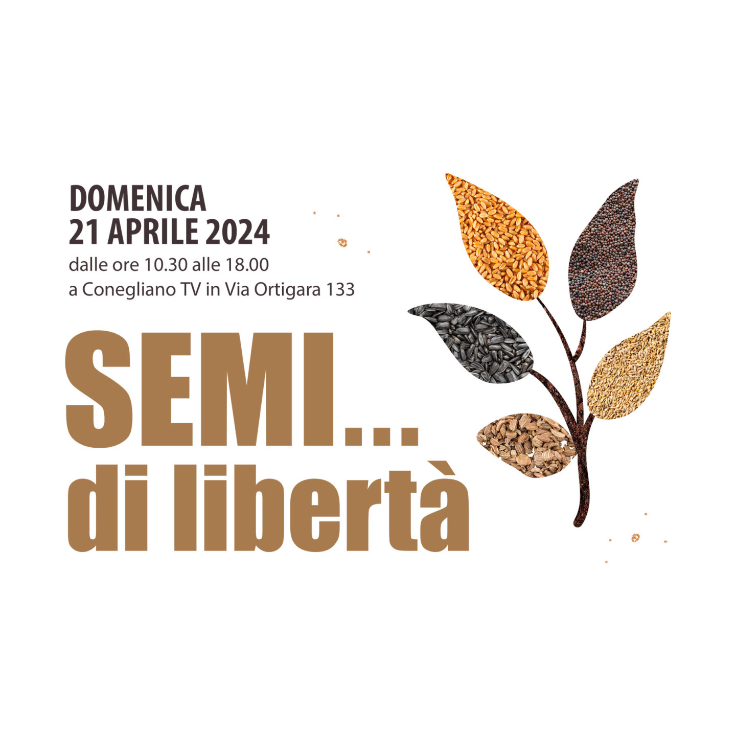 Semi-di-Liberta-2024 v2
