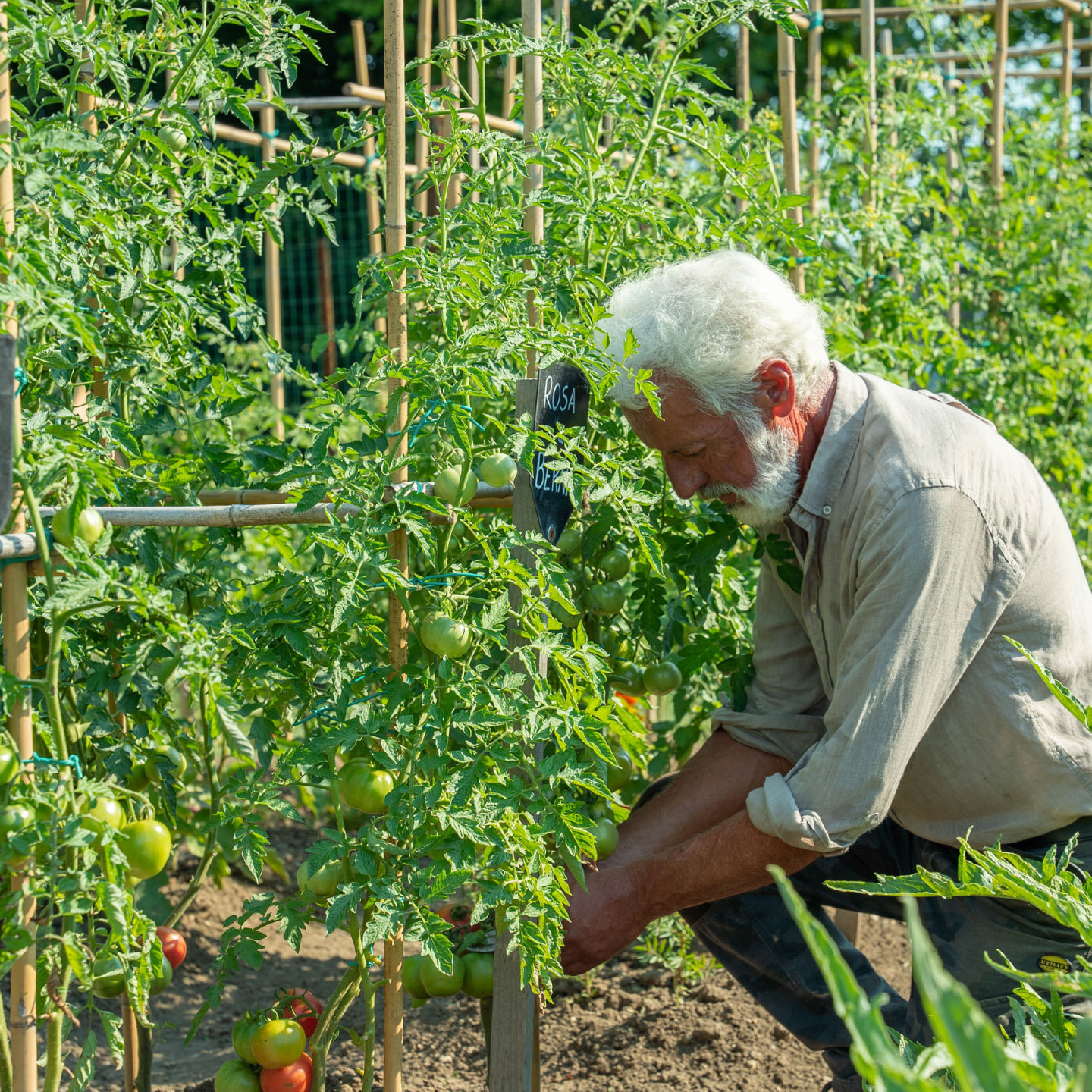 Episodio-02-NaturaSi-Podcast-2050-Mangiare-atto-agricolo