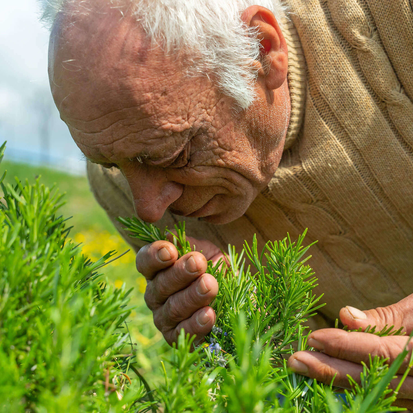 NaturaSi-Agricoltori-Giordano-Emanuele-01