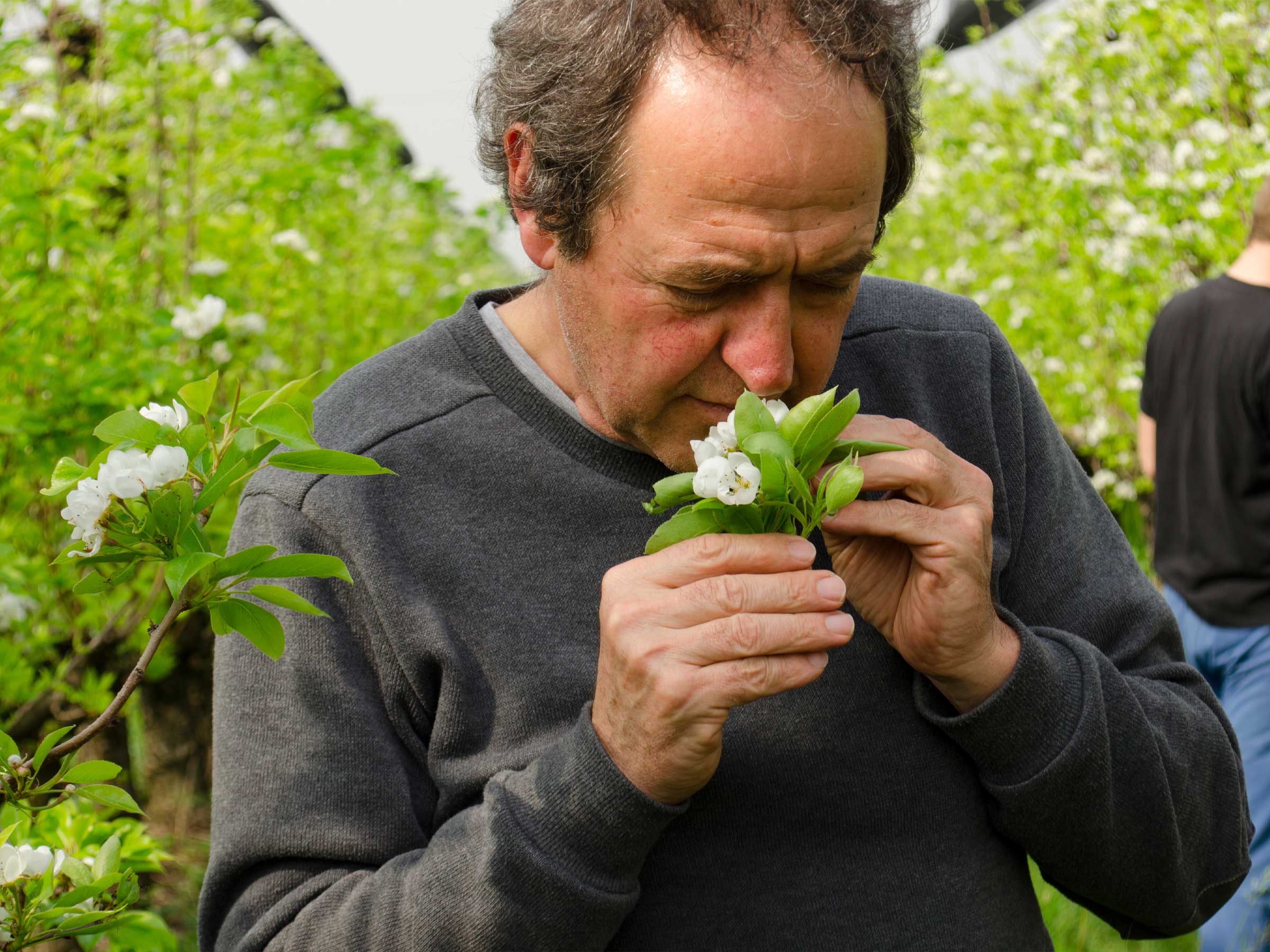 Azienda Agricola Biodinamica San Michele