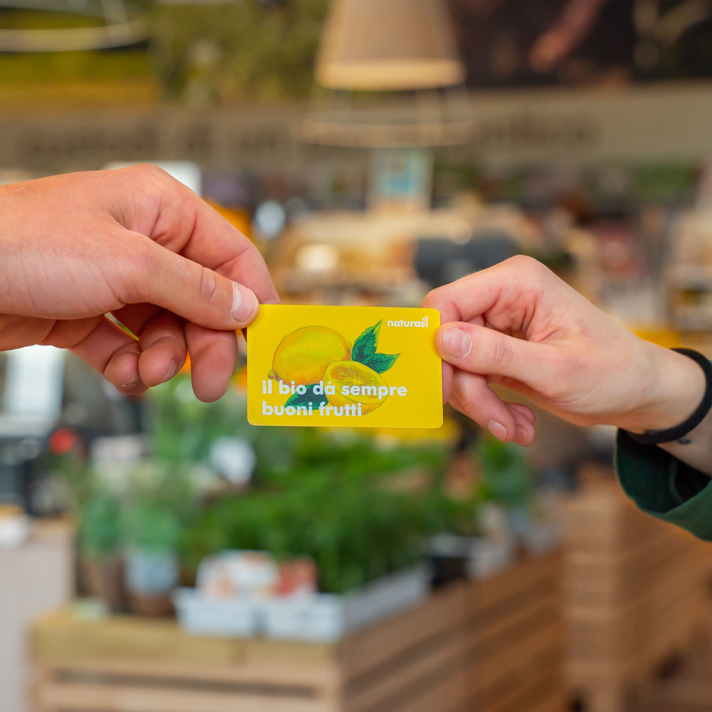 NaturaSi-Gift-Card