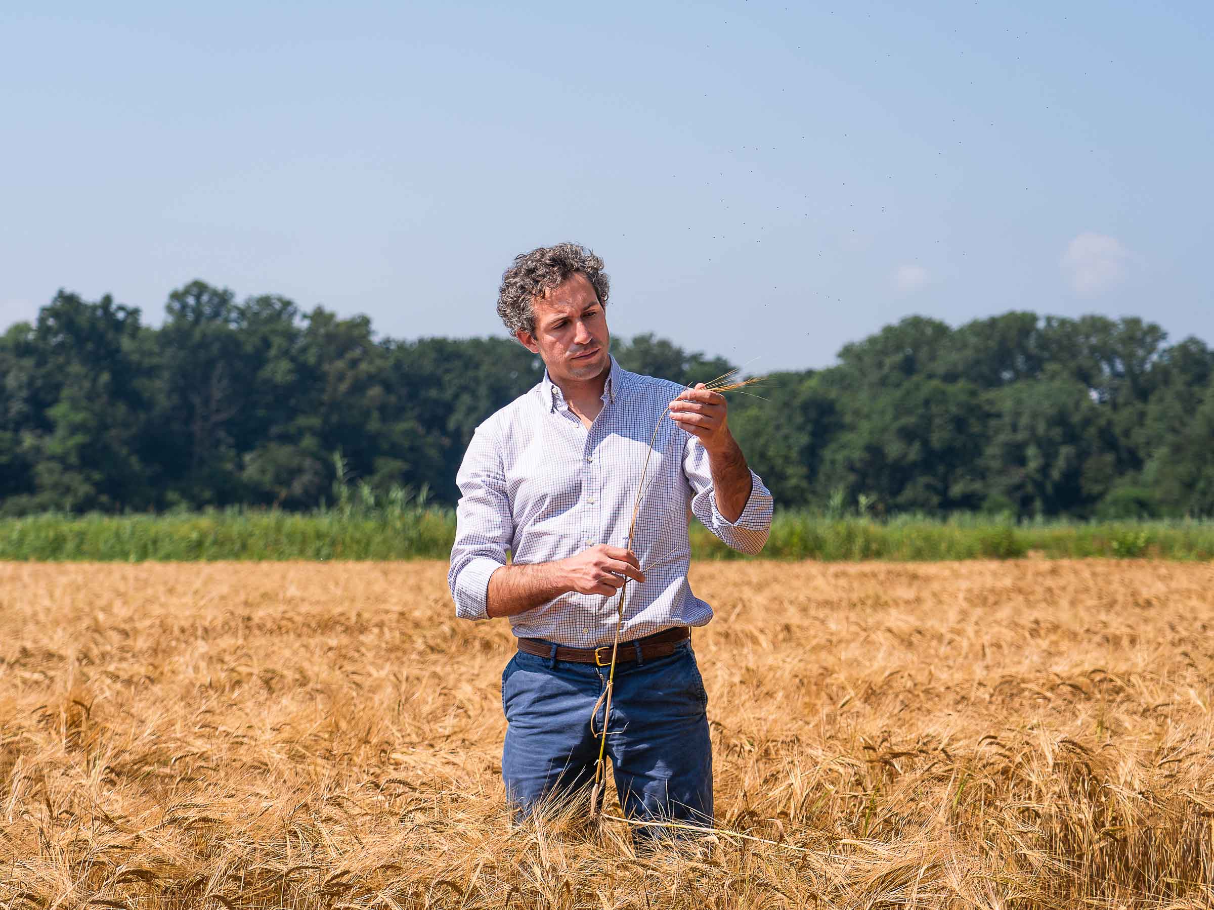 Azienda Agricola Biodinamica Cascine Orsine