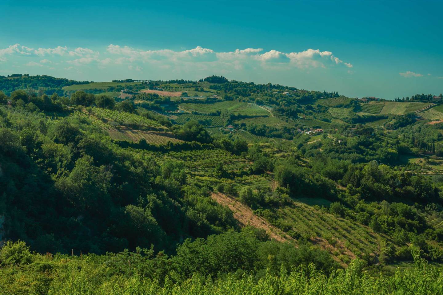 NaturaSi-Scopri-Agricoltori-Terre-di-Ecor