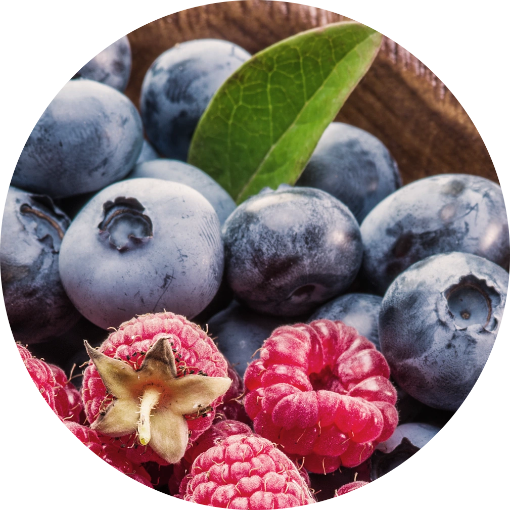 Natural berry flavor gummies