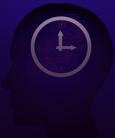 What is the Circadian Rhythm & 3 Tips to Keep it In Check 