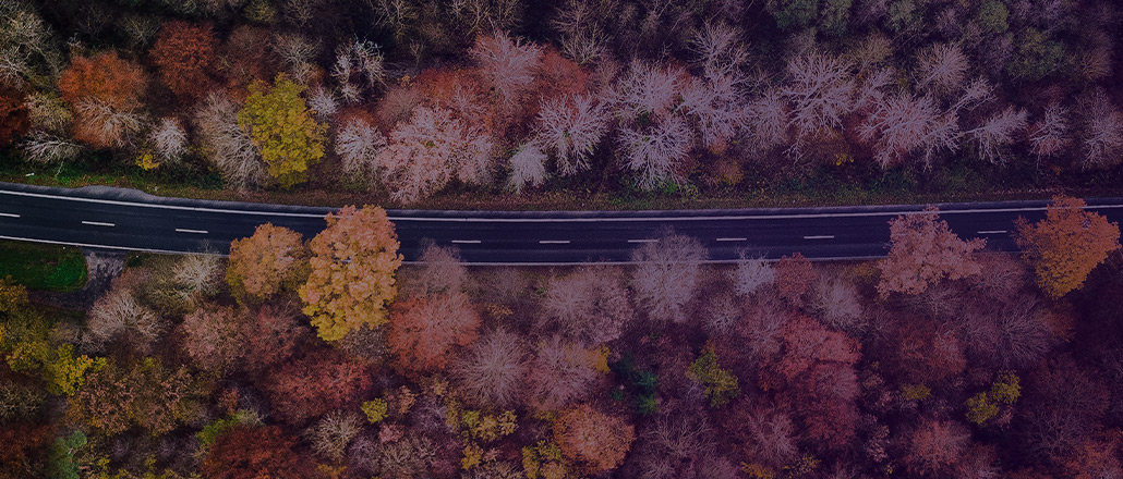 Birdseye view of autumn trees surrounding an open highway