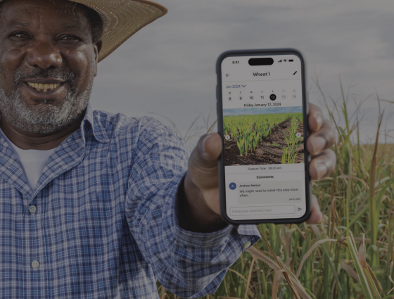 A farmer in a straw hat and blue checkered shirt is smiling and holding a smartphone forward. The phone displays an agricultural app with information about wheat growth and comments, against a backdrop of a field.