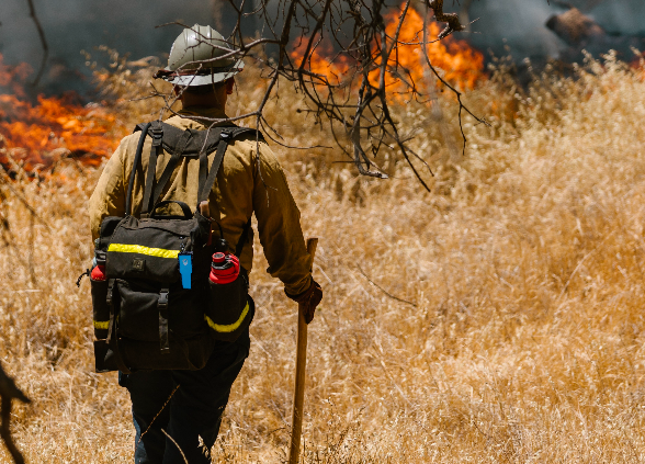 A firefighter in protective gear and helmet walks through dry grass towards a blazing wildfire, carrying a tool and a backpack with equipment. Flames and smoke dominate the background.