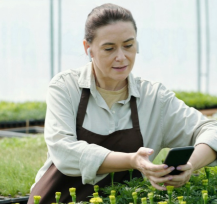 A person wearing an apron and earbuds is holding a smartphone while standing in a greenhouse. They are surrounded by small plants and flowers.