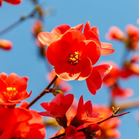 5 ways to activate gratitude without journaling