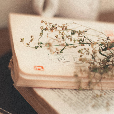 Get inspired by the beauty of haiku: Japanese poetry