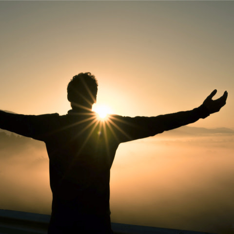 Joy to the World Day 5 - Manifest a happier tomorrow, today!