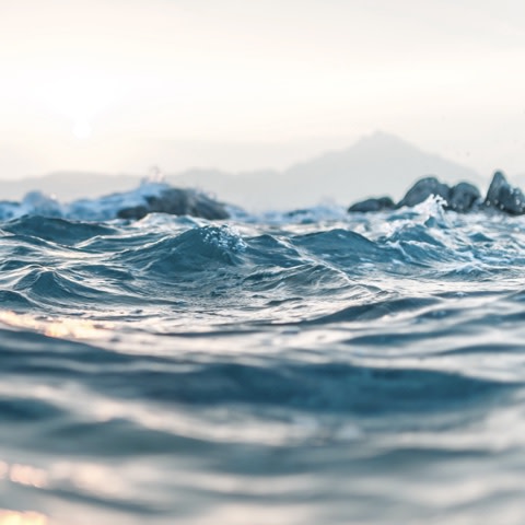 Sea