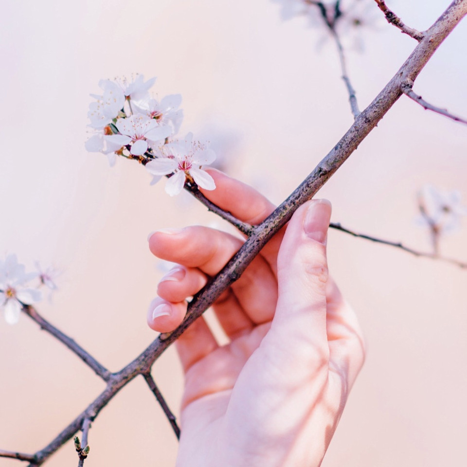 Mindfulness for Modern Life Masterclass Day 3 - Neuroplasticity: the secret to rewiring your brain for calm