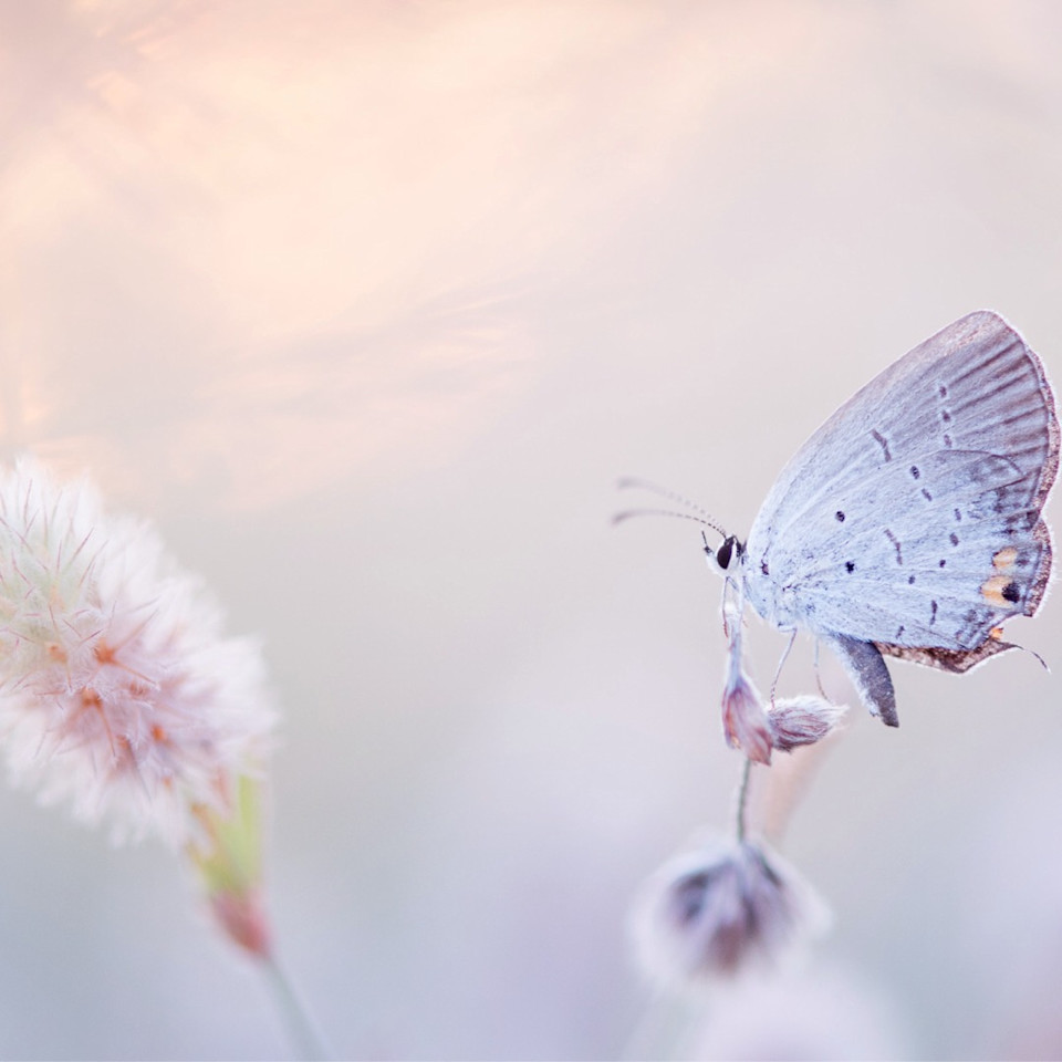 Mindfulness for Modern Life Masterclass Day 5 - How to use mindfulness to ease life’s big worries
