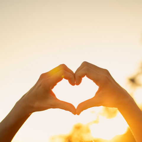 The Happiness Challenge - Day 7 - The power of love and how it helps you to live a happier life