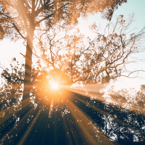 9 tiny, easy energy-boosting habits to incorporate into your day