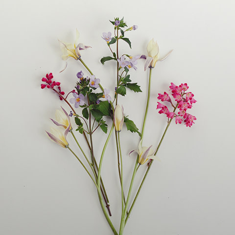 flowers 480x480