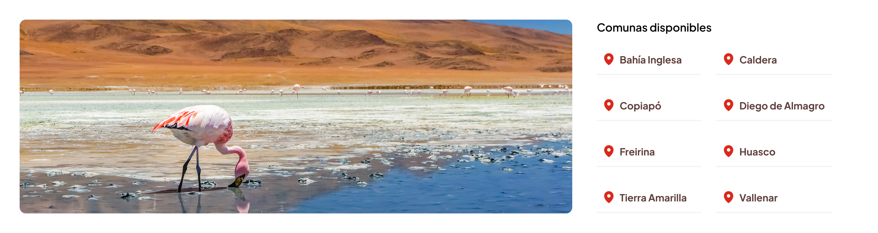 R.atacama
