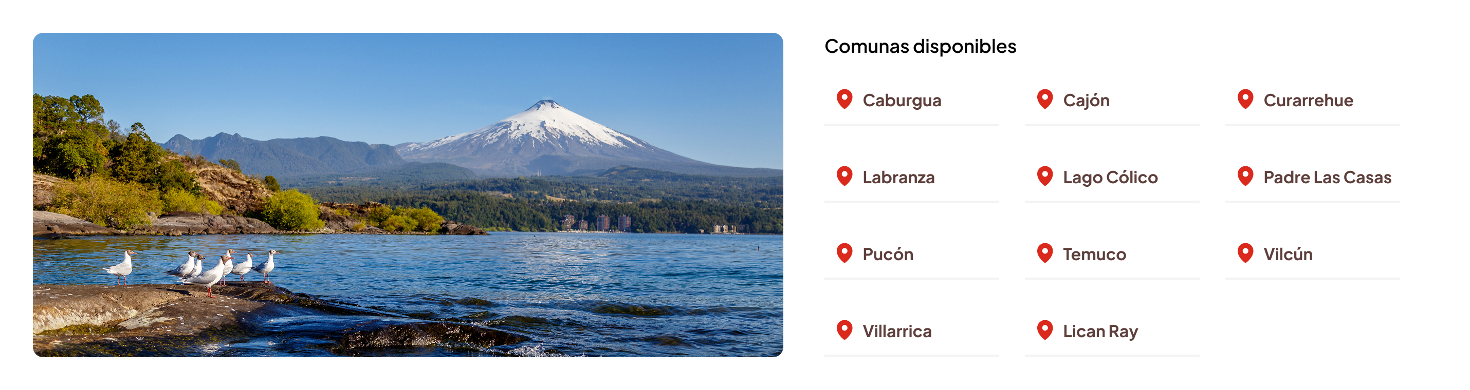 araucania