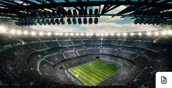Image for Financing the Field: Credit Dynamics in Football Stadiums
