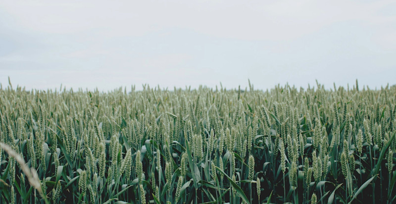 li9JfUHQfOY-unsplash