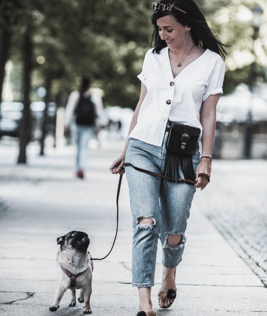 Raus mit dem Hund : praktisch &amp; stylish zur Gassirunde Shoelove Deichmann