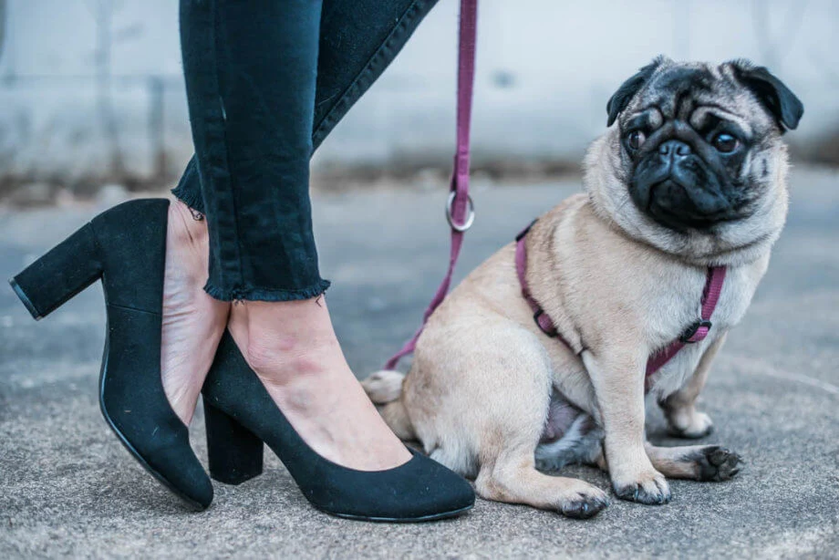 Schwarz Weiß Look gar nicht langweilig Trendblog Deichmann