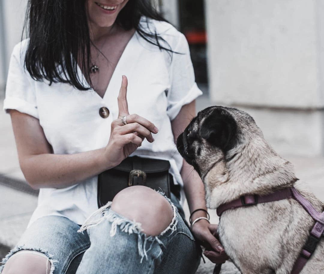 Raus mit dem Hund : praktisch &amp; stylish zur Gassirunde Shoelove Deichmann