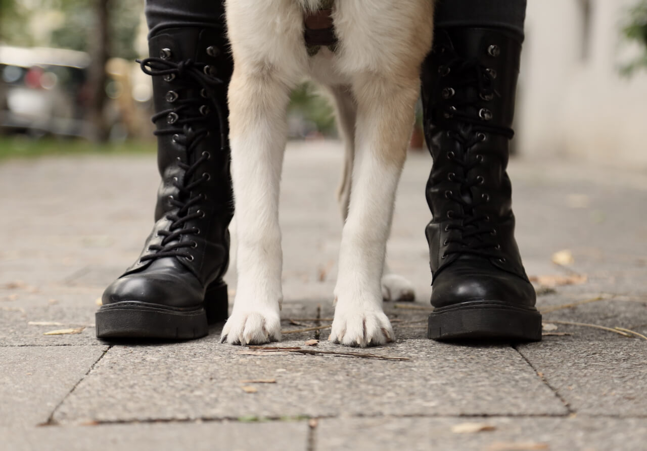 Schuhtrends für den Herbst mit Boots