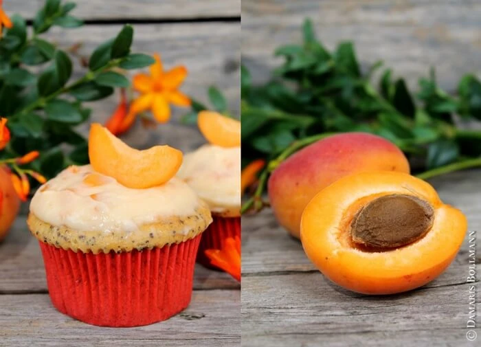 Aprikosen-Mohn-Cupcakes