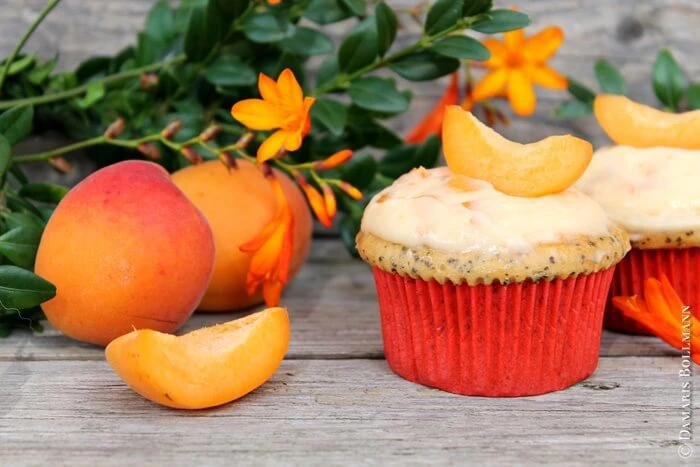 Aprikosen-Mohn-Cupcakes