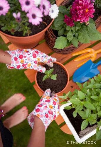 Working in a garden