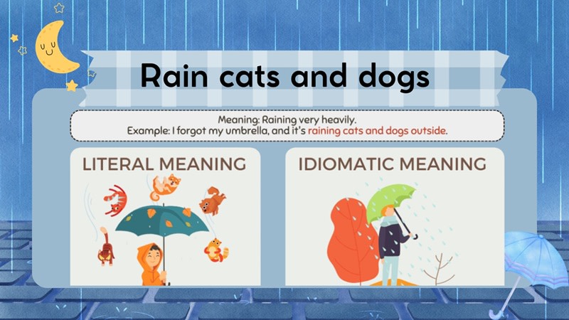 rain cats and dogs là gì