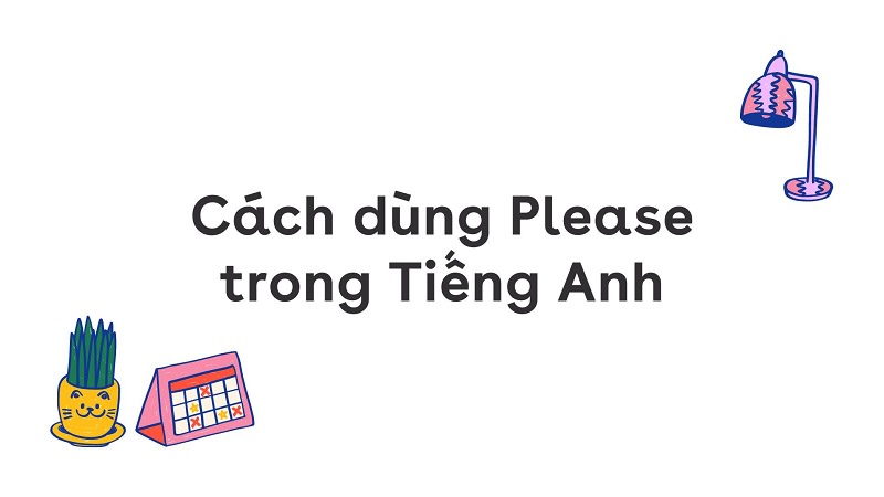 cấu trúc please